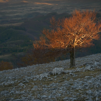 Geoparcul Platoul Mehedinți